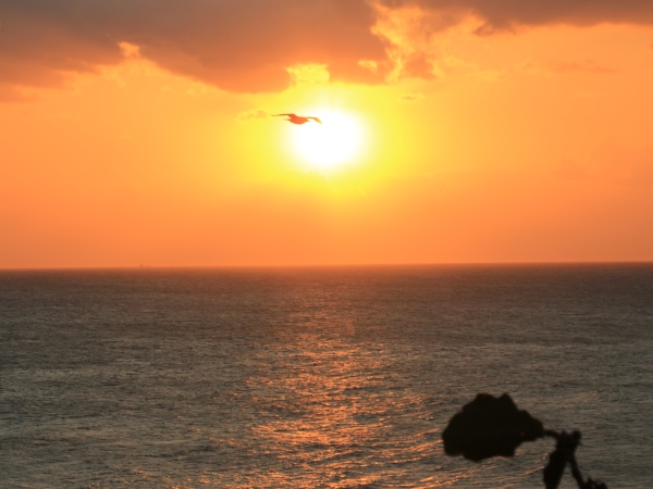 海の別邸ふる川から見える今日の朝日～平成27年10月12日