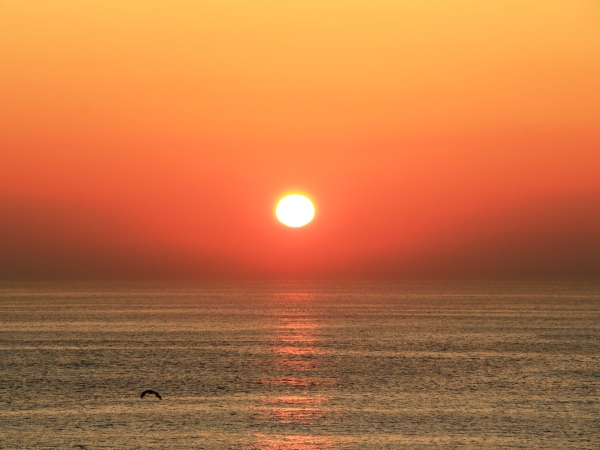 海の別邸ふる川から見える今日の朝日～平成27年11月04日